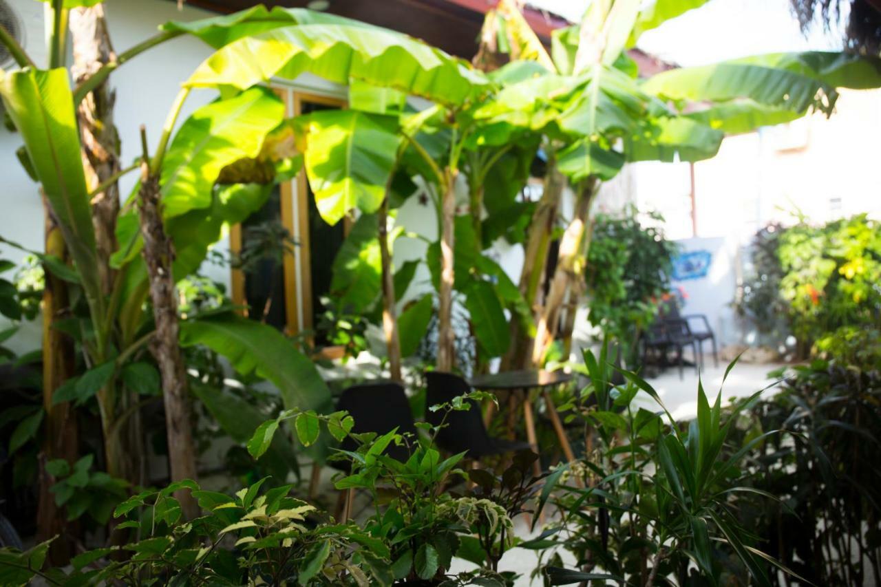 Silk Retreats Thulusdhoo Guest House Ngoại thất bức ảnh